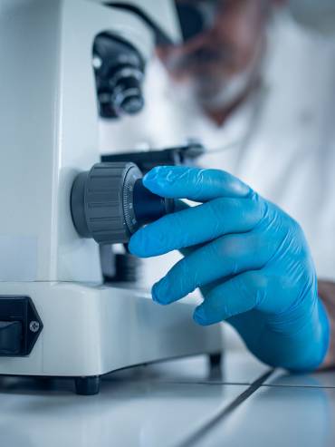 Laboratoire de contrôle d'éléments filtrants TTL France, avec stéré microscope.