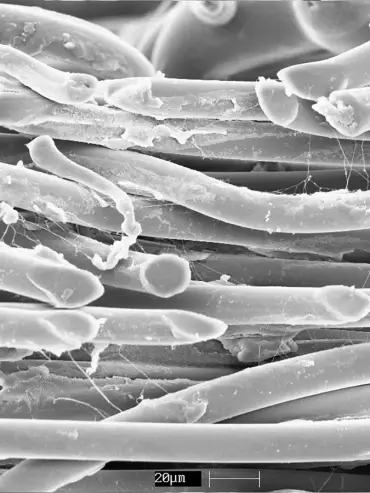 Image microscopique montrant du PTFE déposé sur les fibres textiles techniques - traitement du feutre aiguilleté.